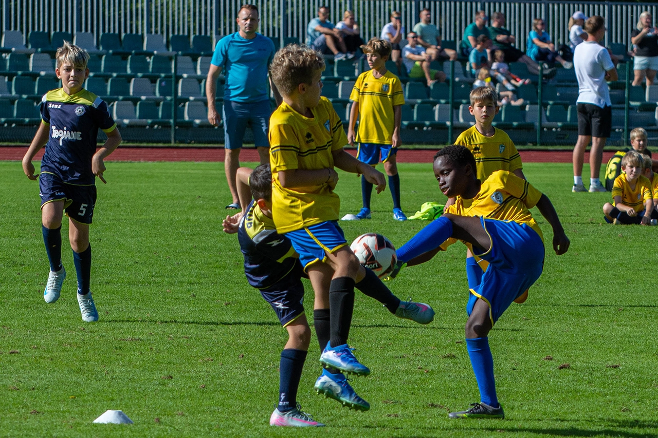 Slika v galeriji 6