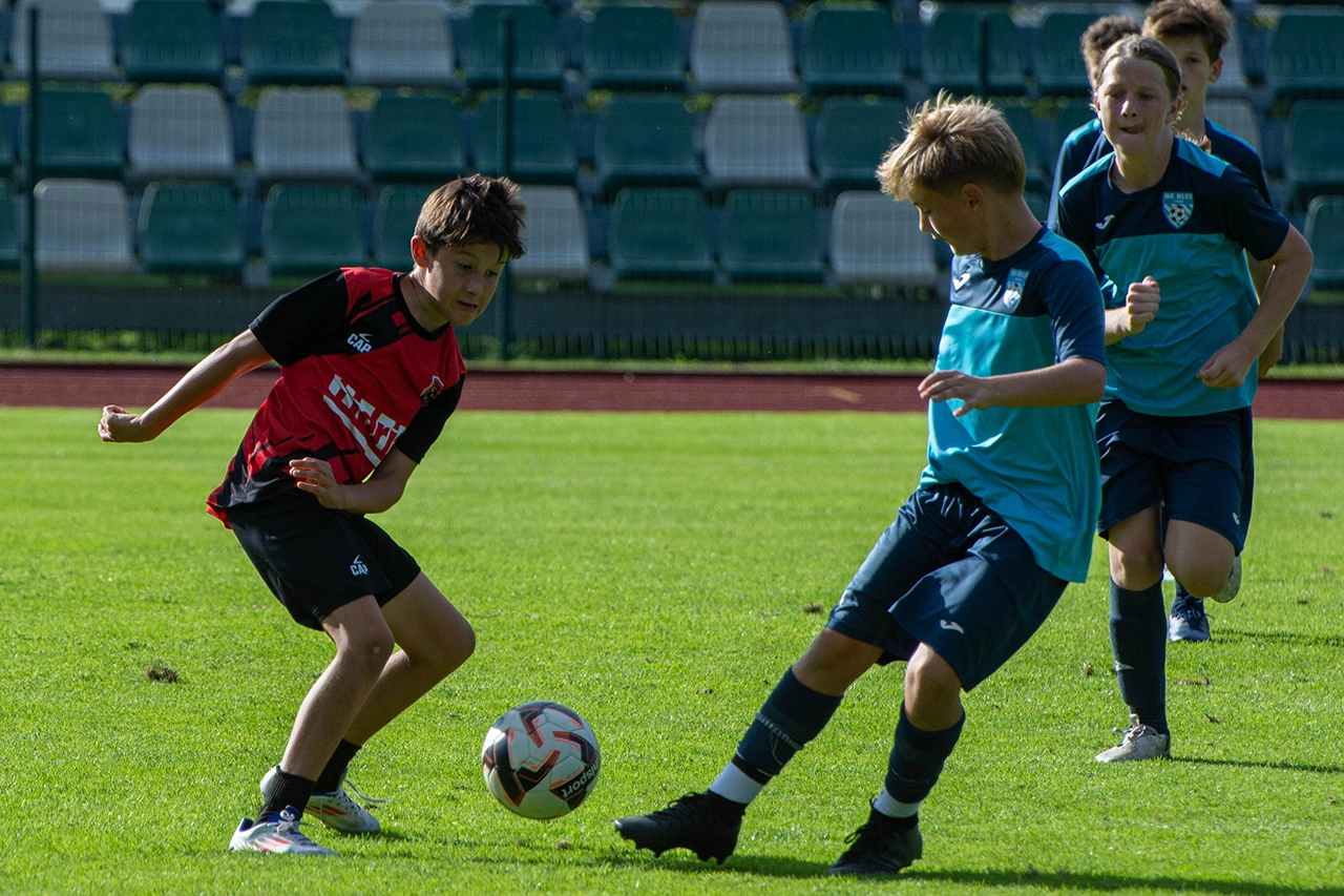 Slika v galeriji 7